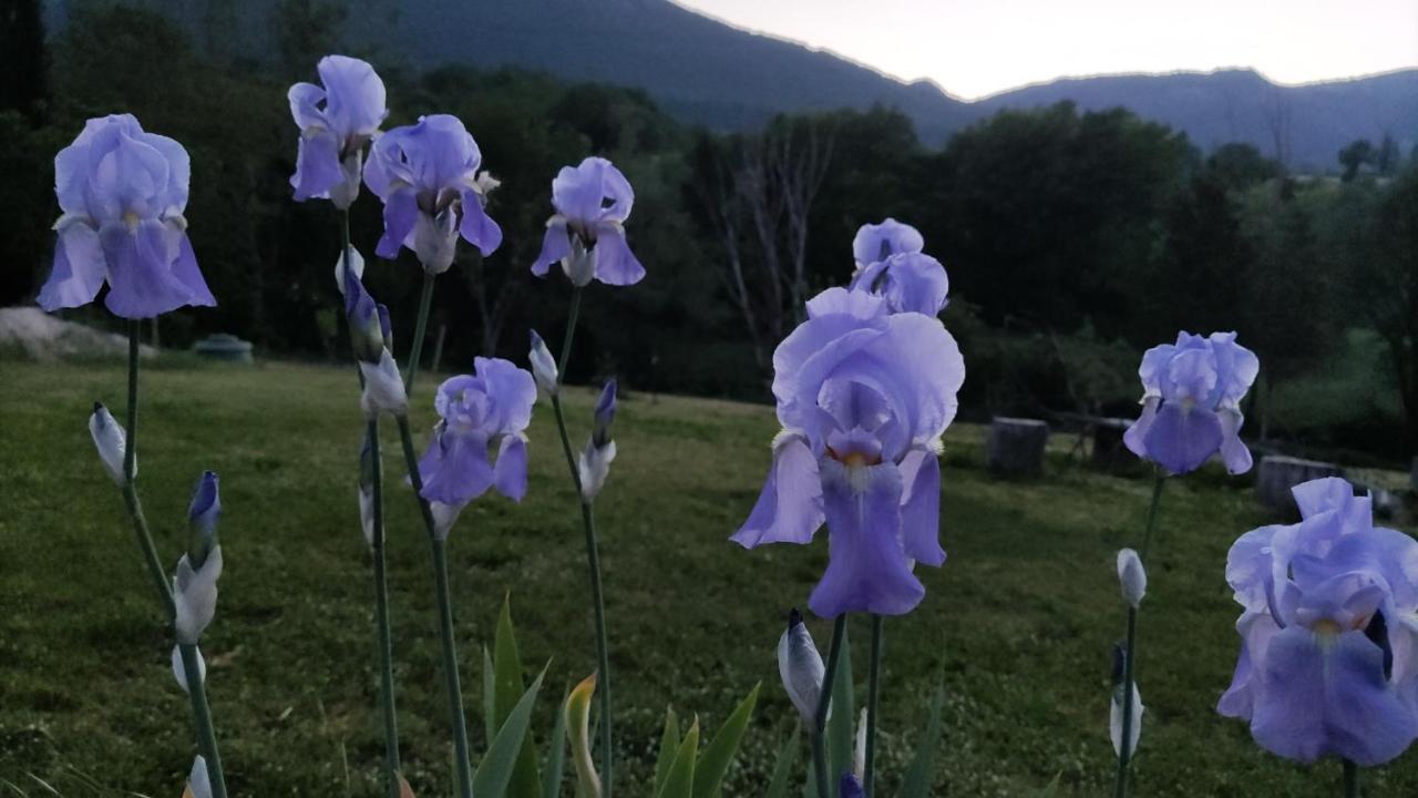 La Casa Di Elena Hotel Camerino Kültér fotó